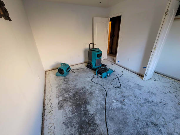 Best Professional water damage repair  in Edwardsville, PA