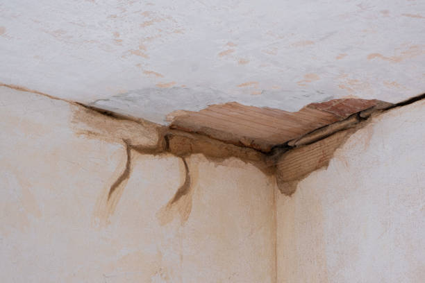 Best Carpet water damage restoration  in Edwardsville, PA