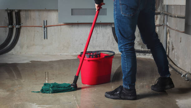 Best Commercial water damage restoration  in Edwardsville, PA