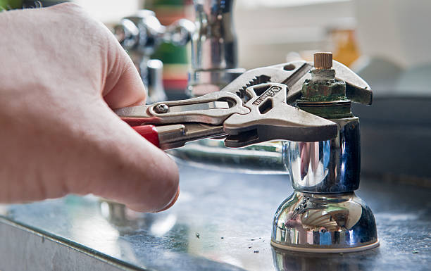 Best Flood restoration services  in Edwardsville, PA