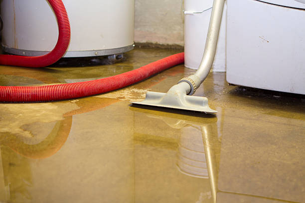 Best Water damage restoration near me  in Edwardsville, PA
