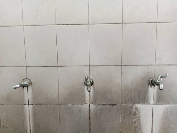 Best Water damage cleanup near me  in Edwardsville, PA