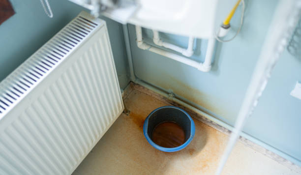 Best Residential water damage restoration  in Edwardsville, PA