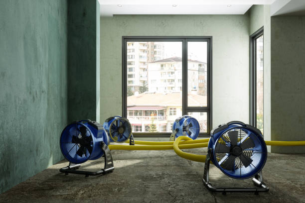 Best Emergency water damage restoration  in Edwardsville, PA